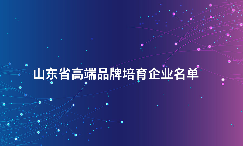 山東（dōng）省高端品牌培育（yù）企業名單