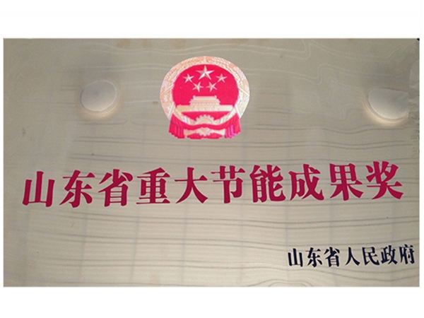 山東省重（chóng）大節能成果獎
