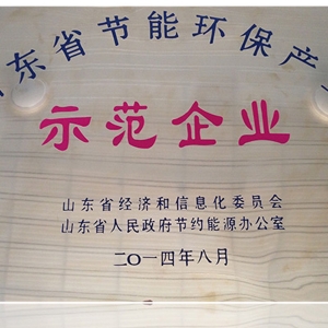 山東省（shěng）節能環保產業（yè）示（shì）範企業（yè）