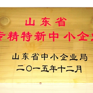 山東省專精（jīng）特新中小企業（yè）